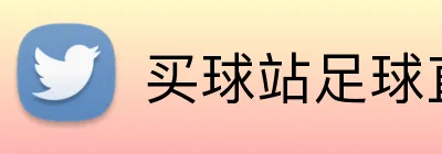 买球站足球直播App Logo
